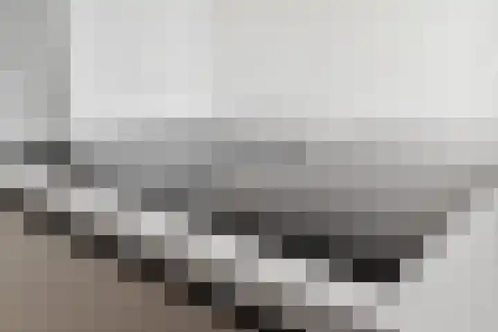 Dreef 10 Breda thumbnail 19