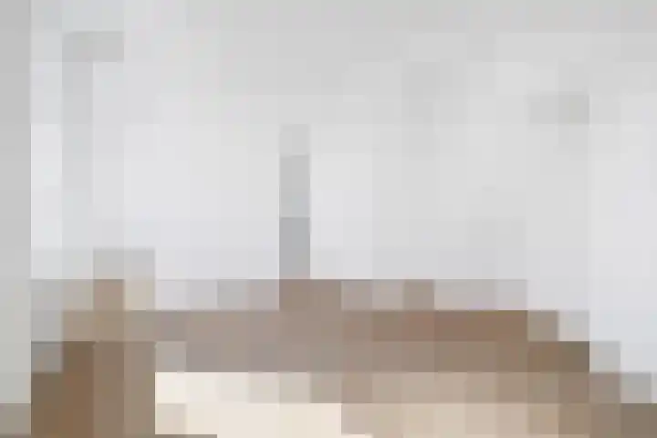 Dreef 10 Breda thumbnail 30