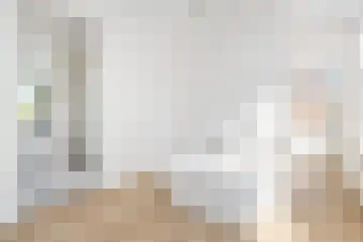 Dreef 10 Breda thumbnail 33