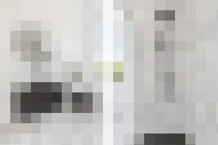 Dreef 10 Breda thumbnail 35