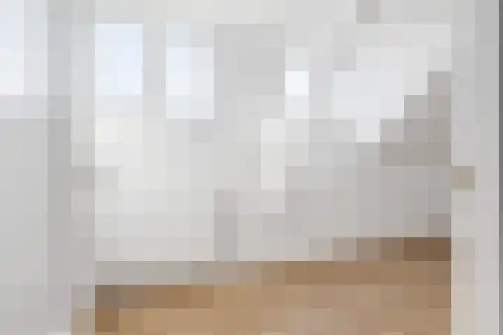 Dreef 10 Breda thumbnail 43