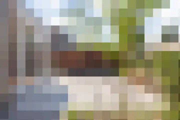 Dreef 10 Breda thumbnail 48