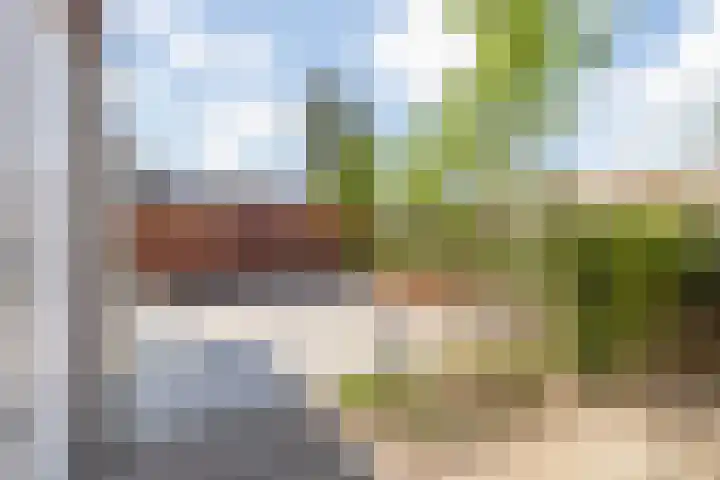 Dreef 10 Breda thumbnail 49