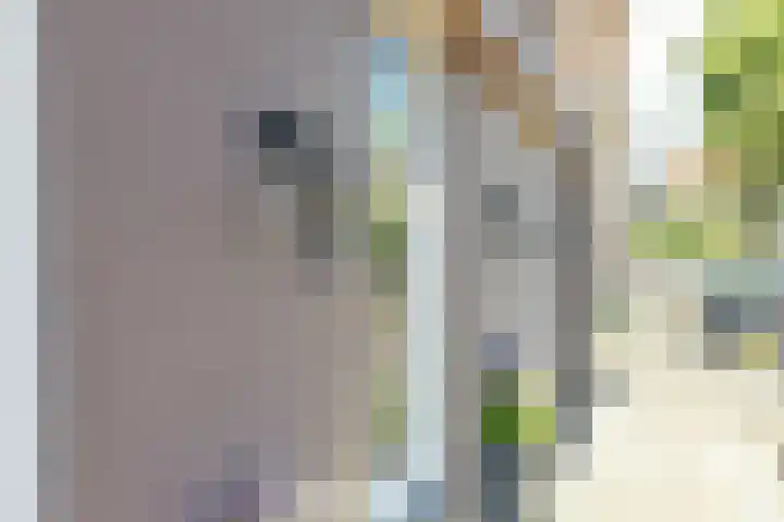 Dreef 10 Breda thumbnail 5