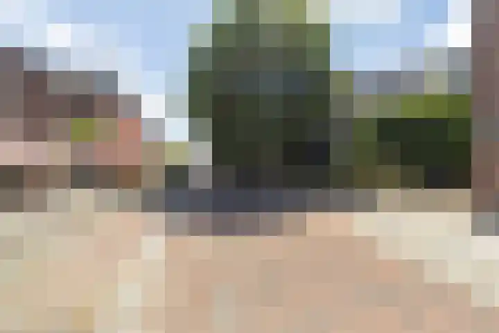 Dreef 10 Breda thumbnail 54