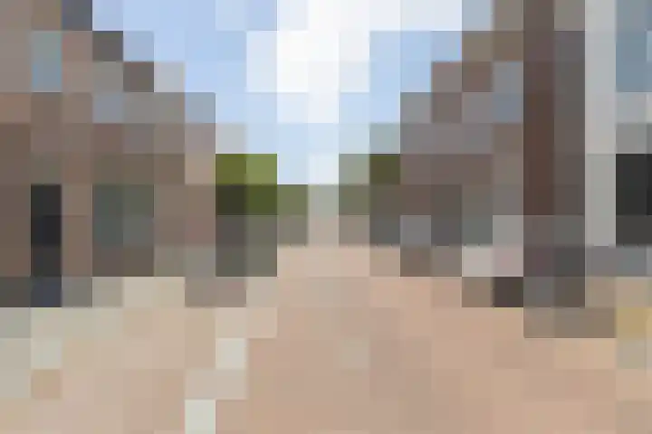 Dreef 10 Breda thumbnail 57