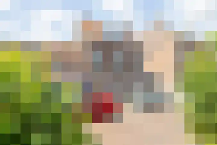 Dreef 10 Breda thumbnail 67