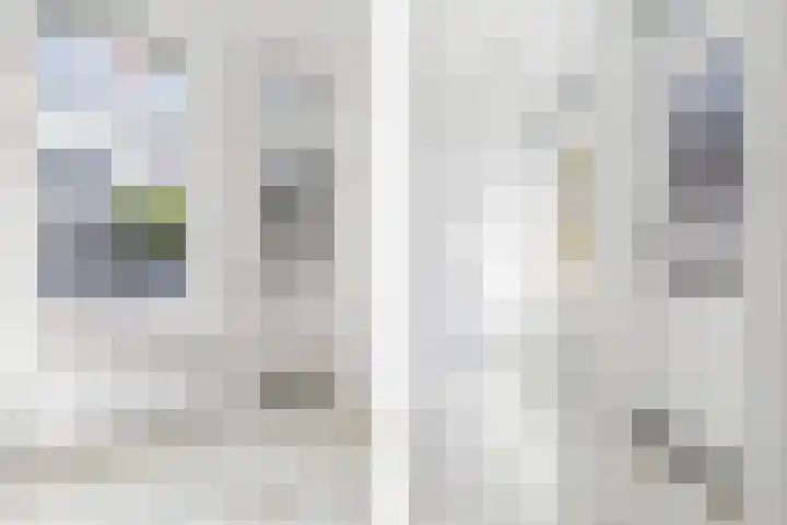 Dreef 10 Breda thumbnail 7