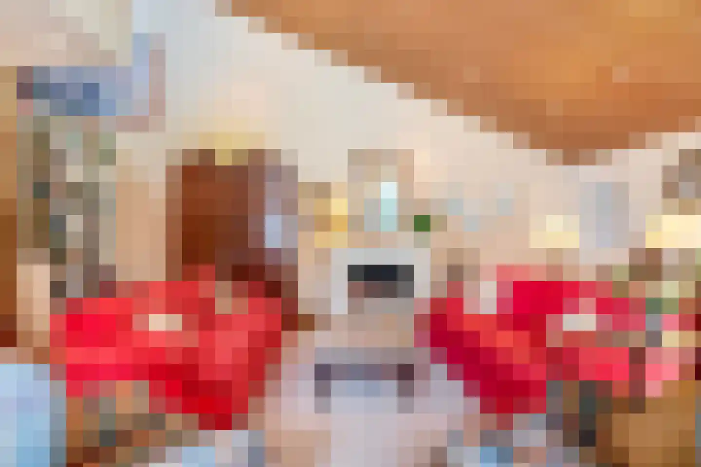 Dreef 10 Eersel thumbnail 18