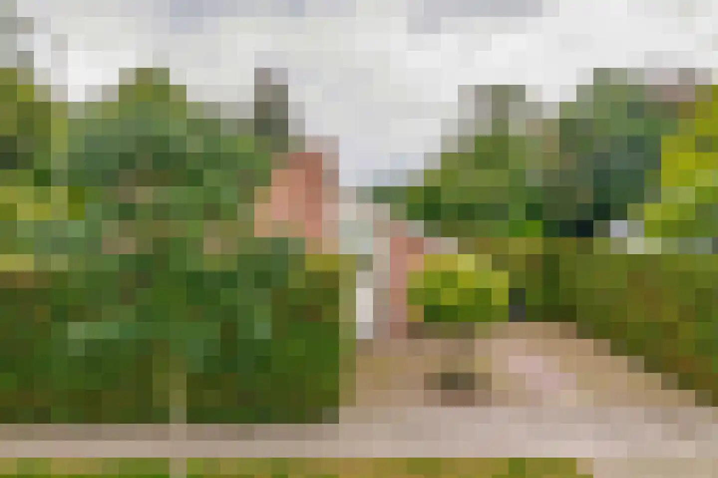 Dreef 10 Eersel thumbnail 4