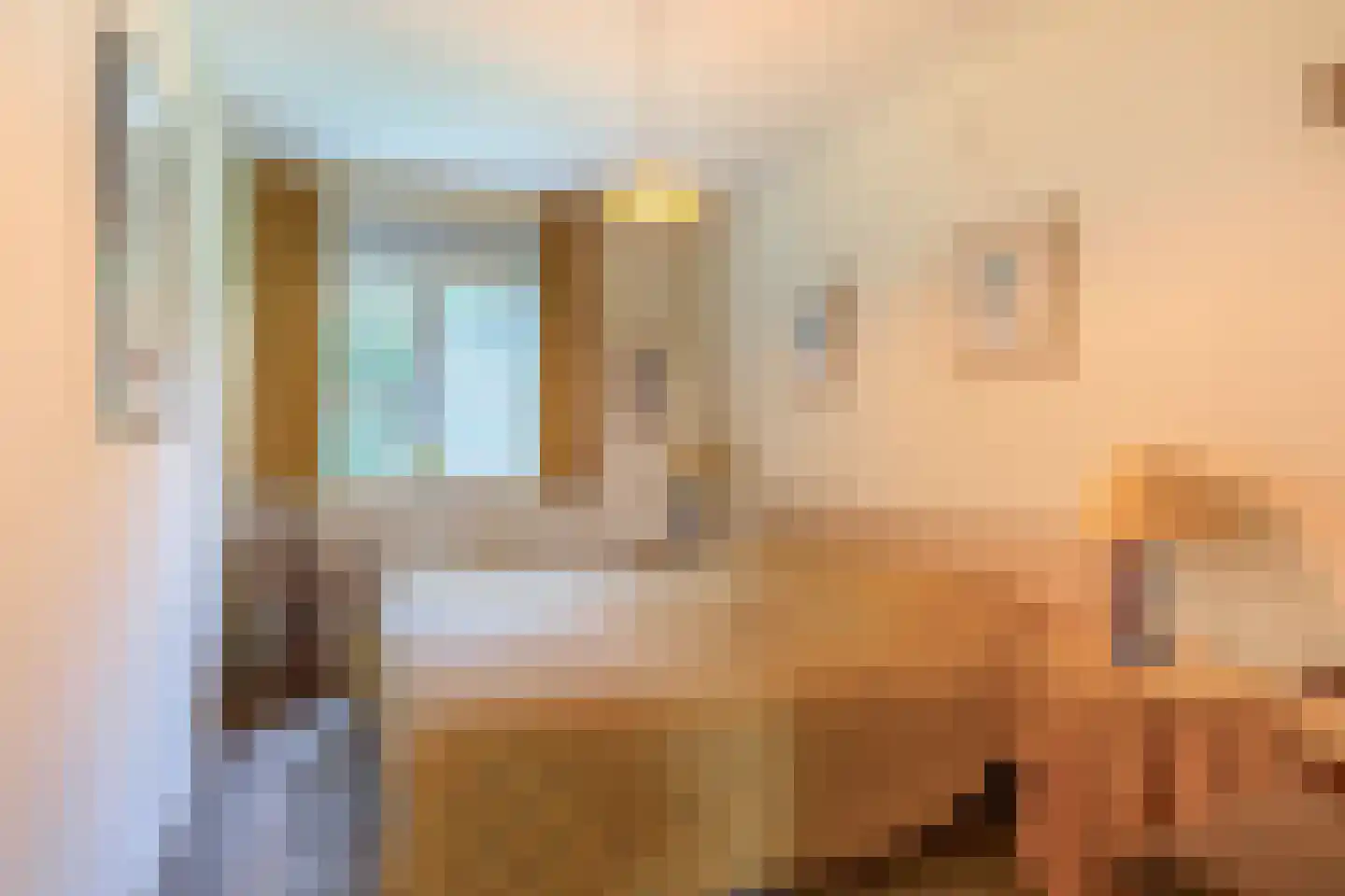 Dreef 10 Eersel thumbnail 44