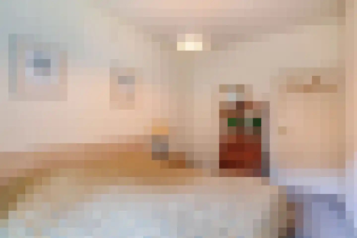 Dreef 10 Eersel thumbnail 45