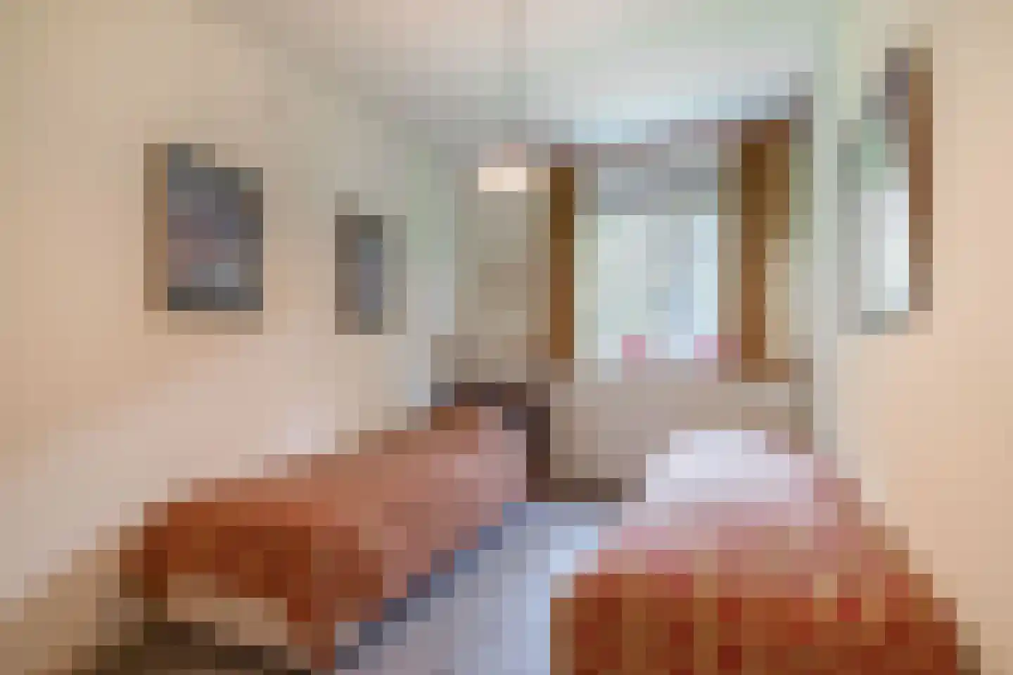 Dreef 10 Eersel thumbnail 47