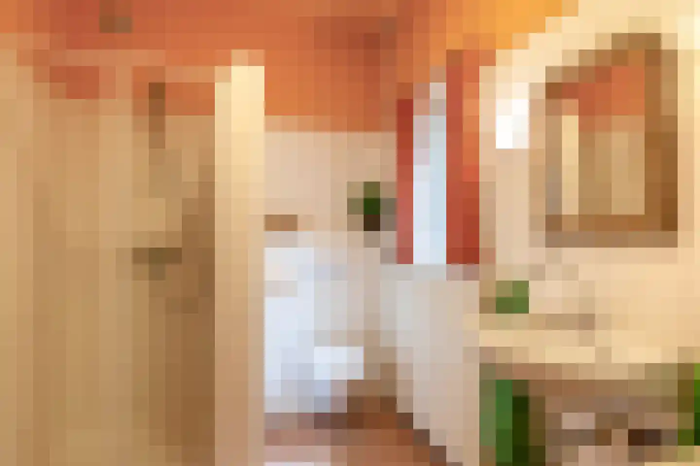 Dreef 10 Eersel thumbnail 49