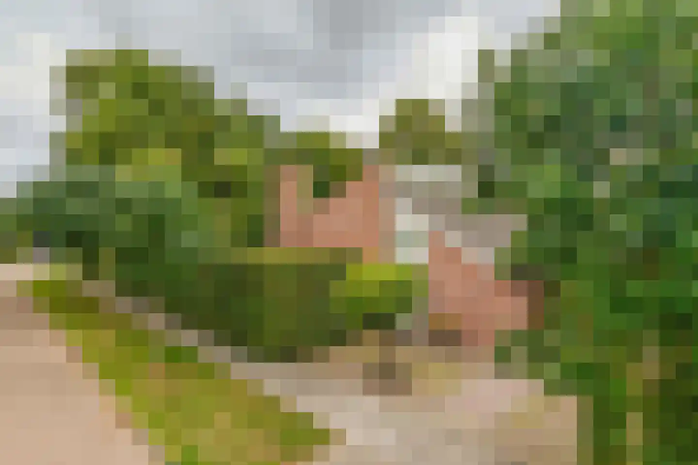 Dreef 10 Eersel thumbnail 5