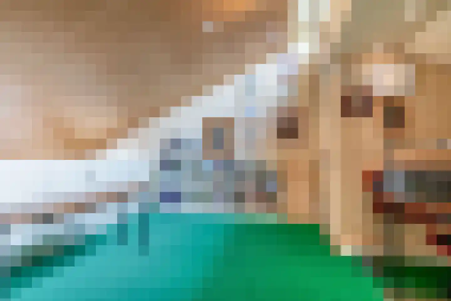 Dreef 10 Eersel thumbnail 51