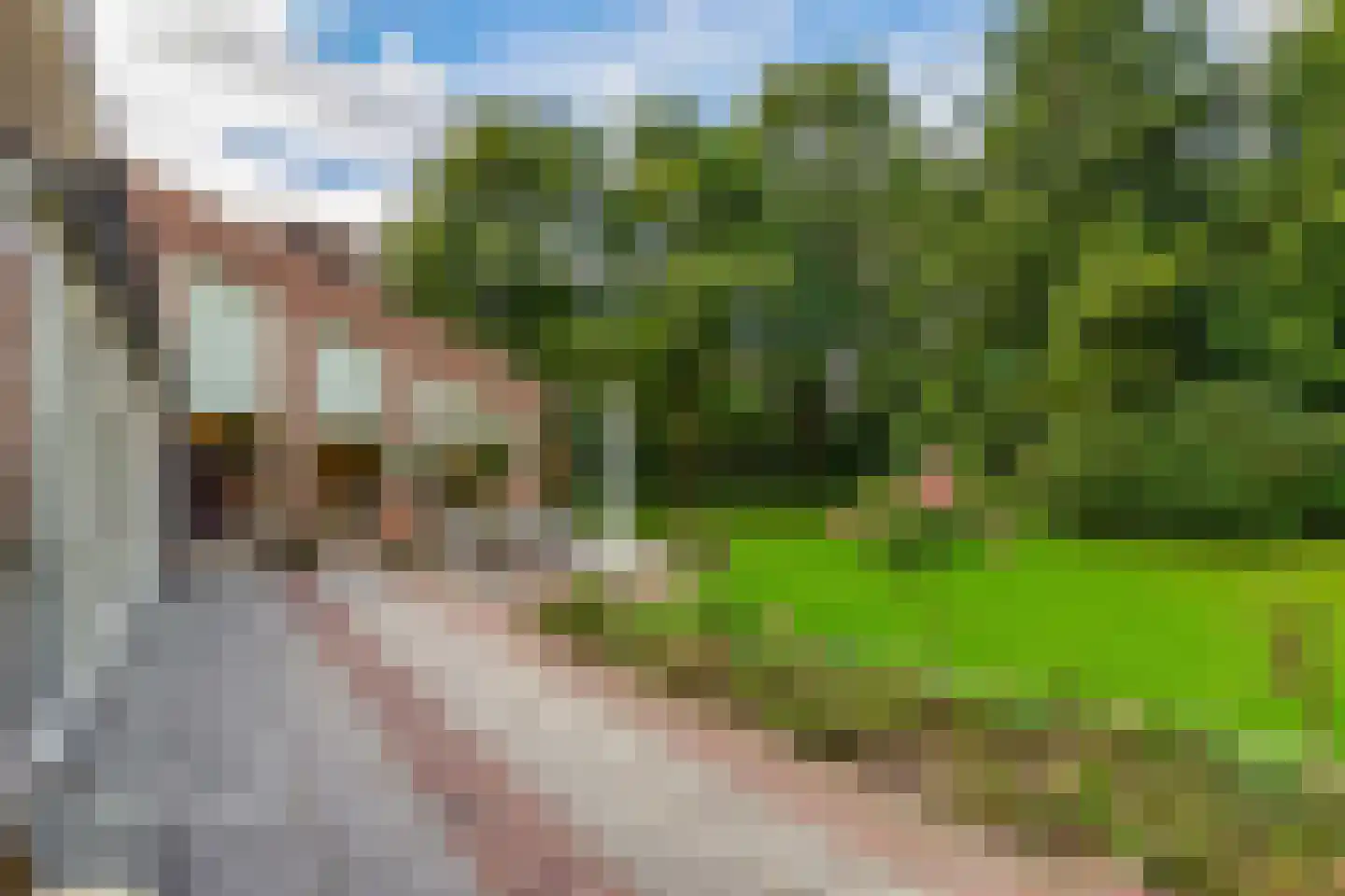 Dreef 10 Eersel thumbnail 58