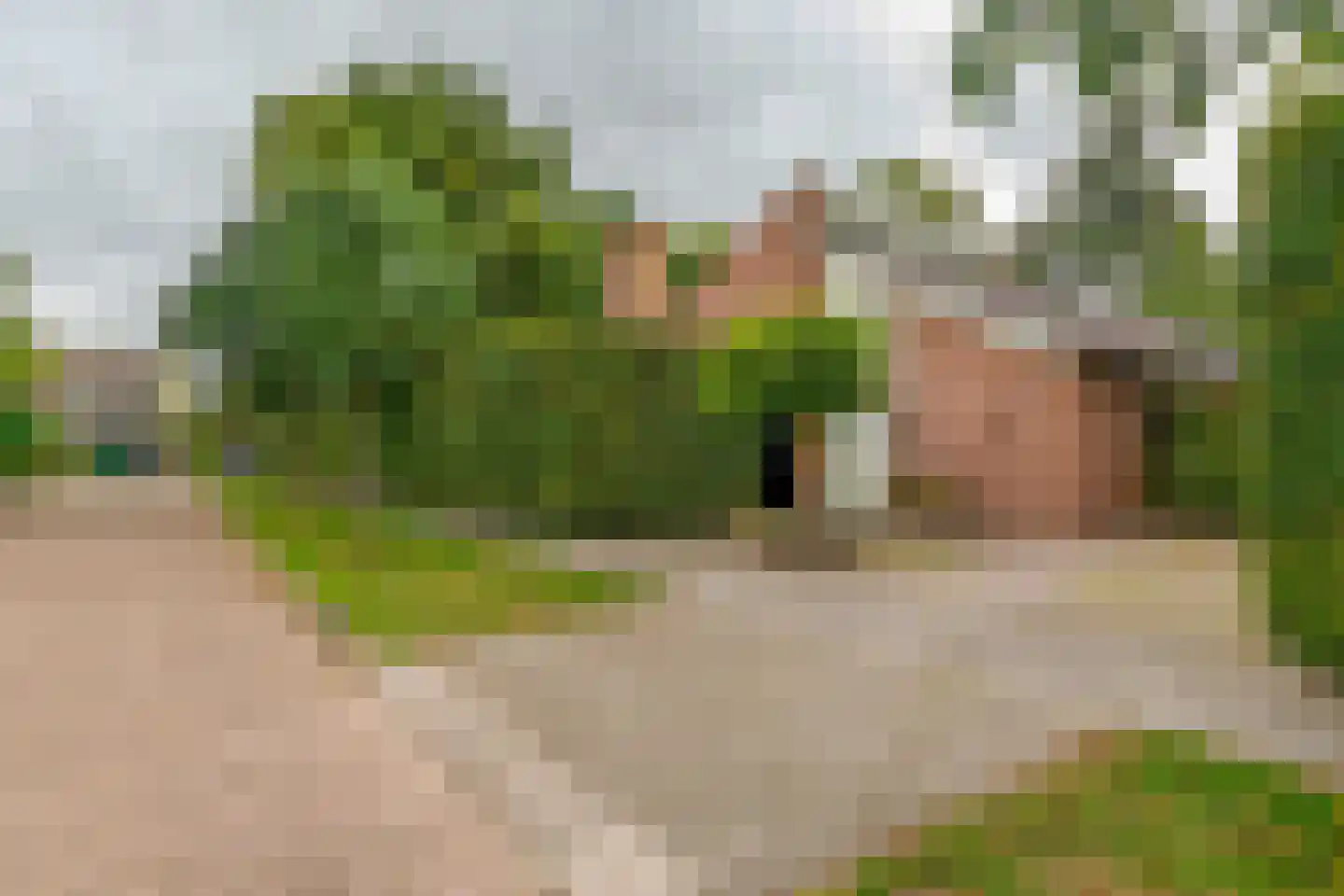 Dreef 10 Eersel thumbnail 6