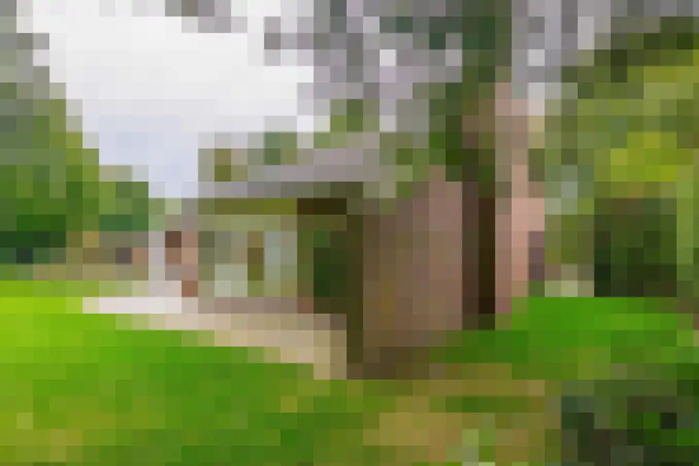 Dreef 10 Eersel thumbnail 61