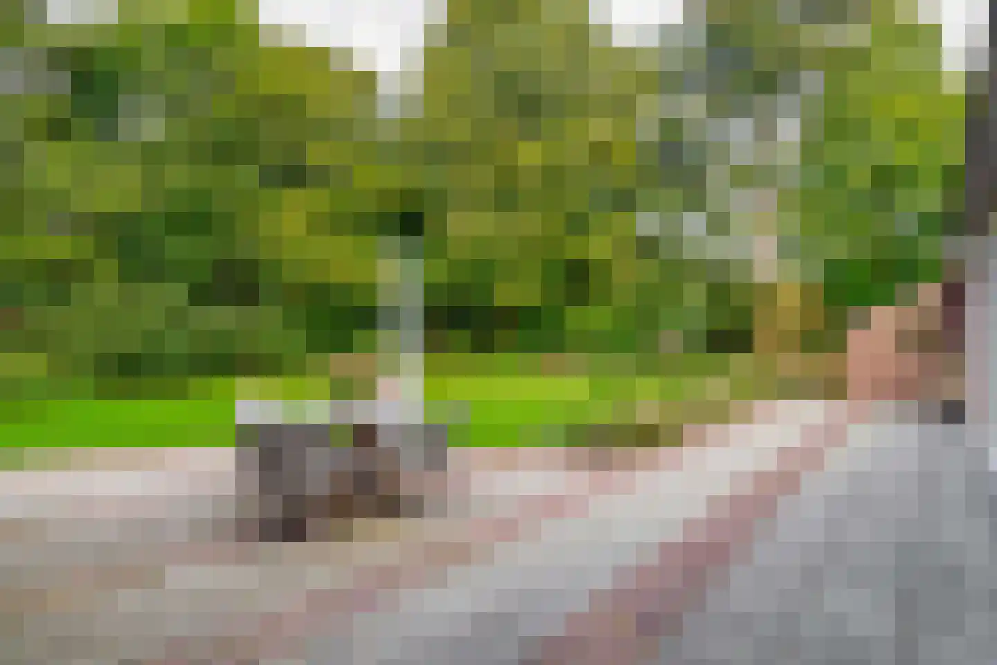 Dreef 10 Eersel thumbnail 62