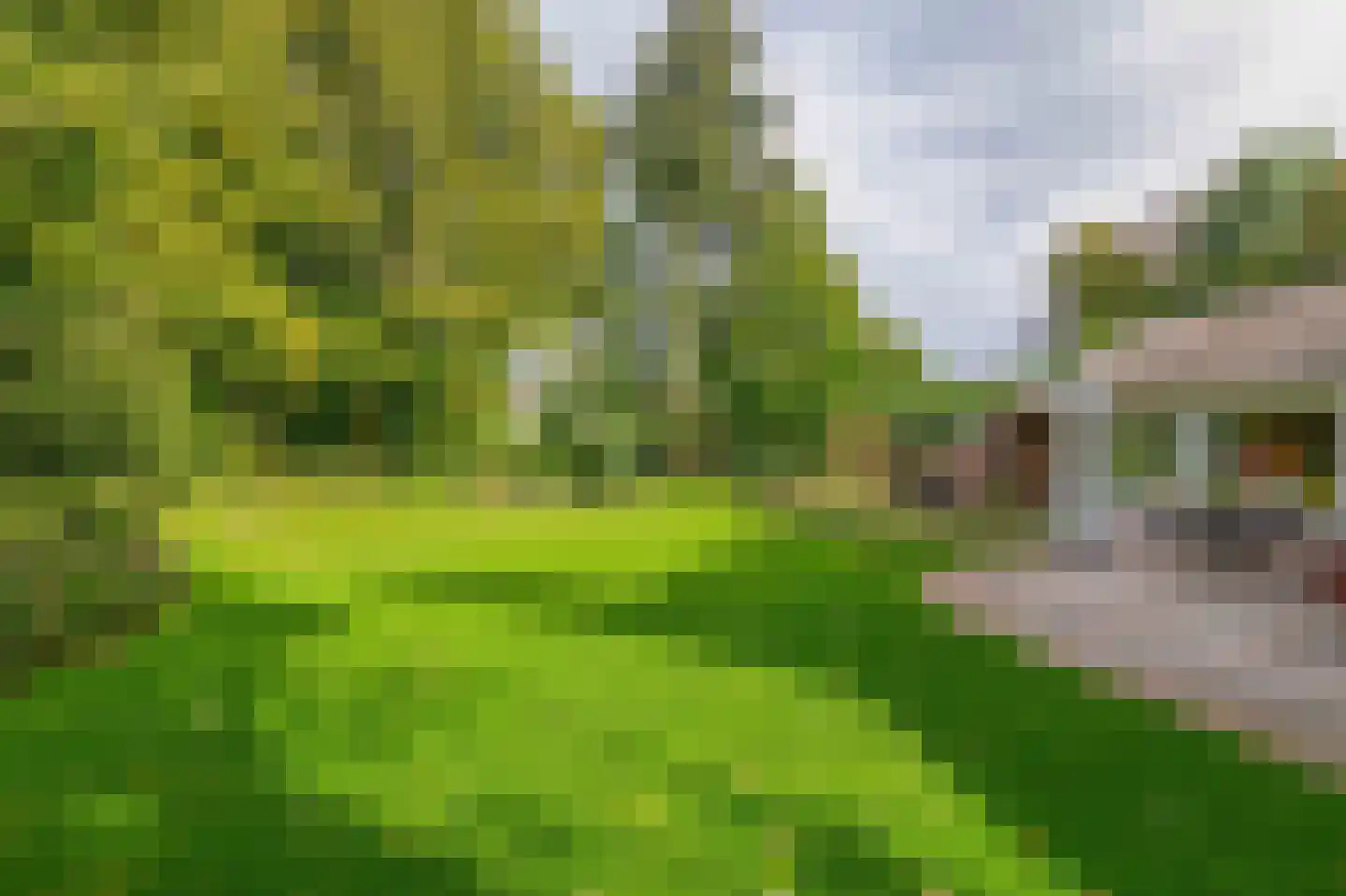 Dreef 10 Eersel thumbnail 65