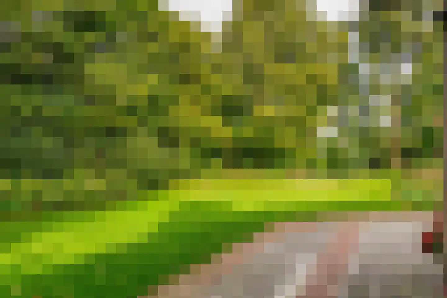 Dreef 10 Eersel thumbnail 66