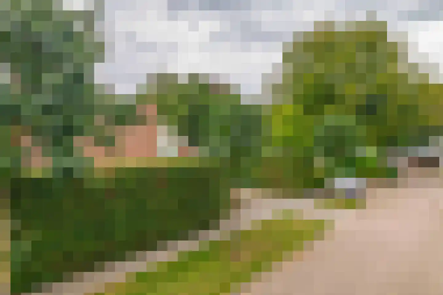 Dreef 10 Eersel thumbnail 7