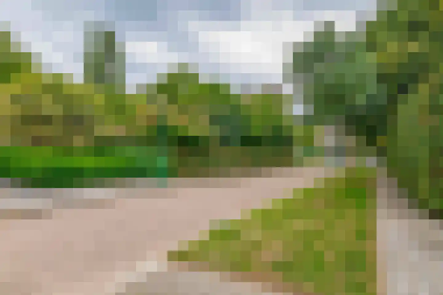 Dreef 10 Eersel thumbnail 8