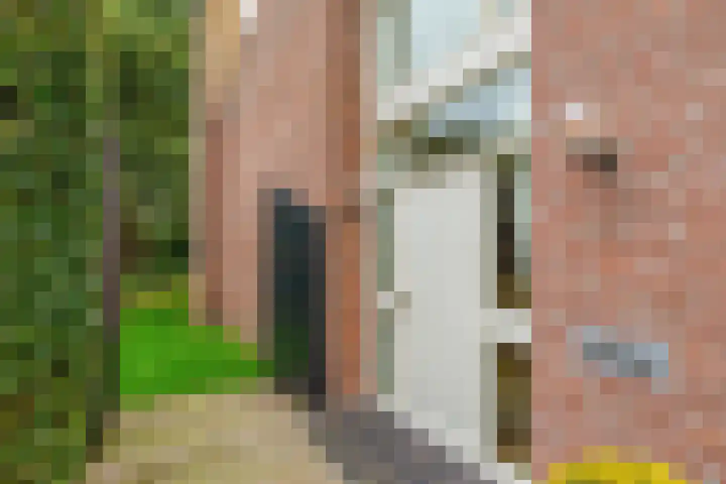Dreef 10 Eersel thumbnail 9