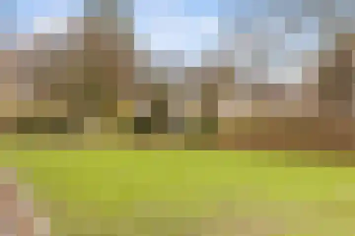 Dreef 116 Hellevoetsluis thumbnail 39