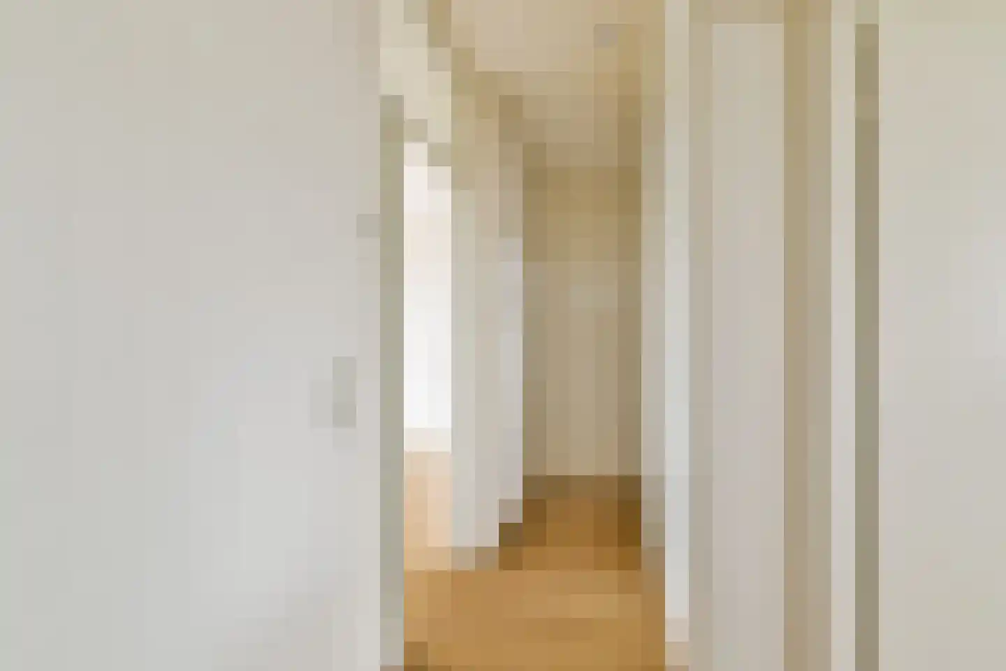 Dreef 118 Gouda thumbnail 23