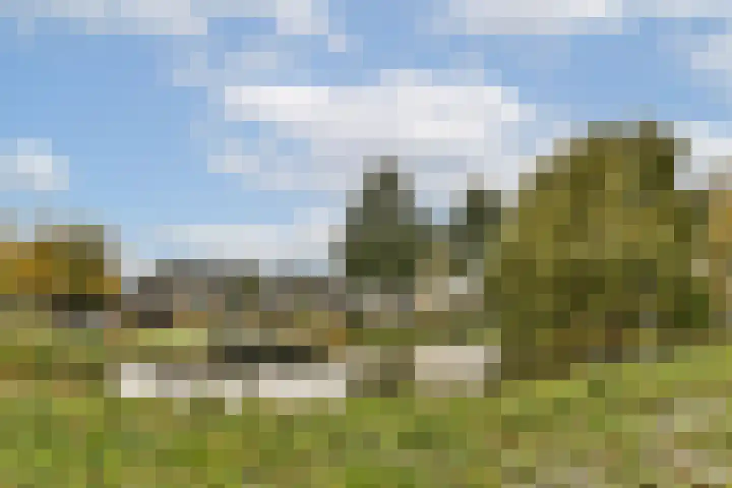 Dreef 118 Gouda thumbnail 38