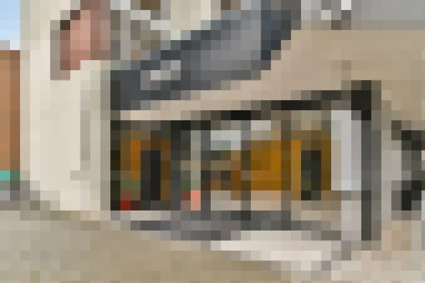 Dreef 118 Gouda thumbnail 7