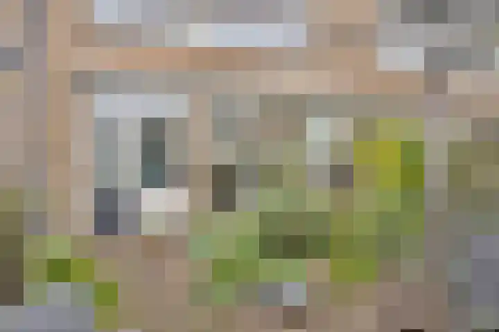 Dreef 118 Leersum thumbnail 18
