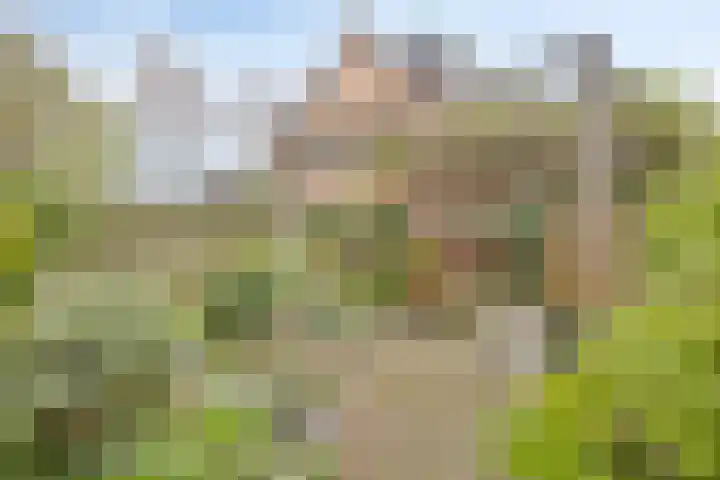 Dreef 118 Leersum thumbnail 19