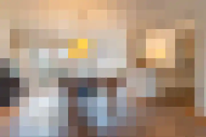 Dreef 12 Beverwijk thumbnail 11