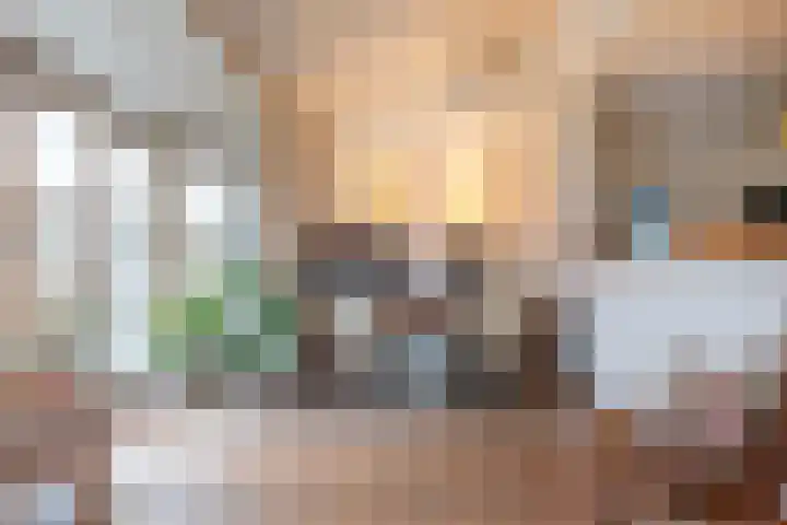 Dreef 12 Beverwijk thumbnail 15