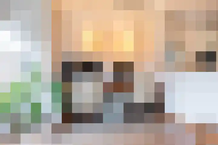 Dreef 12 Beverwijk thumbnail 18