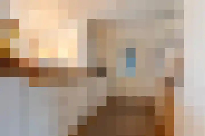 Dreef 12 Beverwijk thumbnail 19