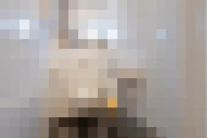 Dreef 12 Beverwijk thumbnail 23