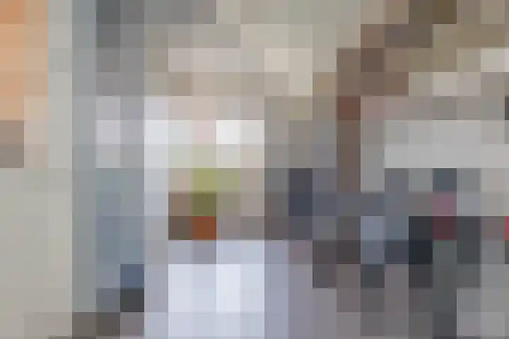 Dreef 12 Beverwijk thumbnail 24