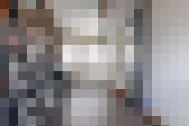 Dreef 12 Beverwijk thumbnail 25