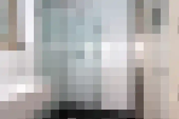 Dreef 12 Beverwijk thumbnail 36