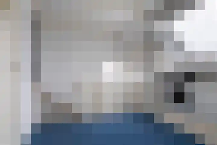 Dreef 12 Beverwijk thumbnail 39
