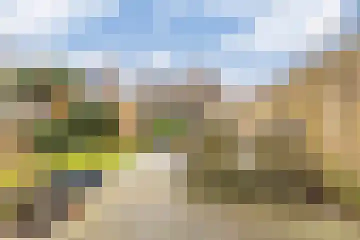 Dreef 12 Beverwijk thumbnail 49