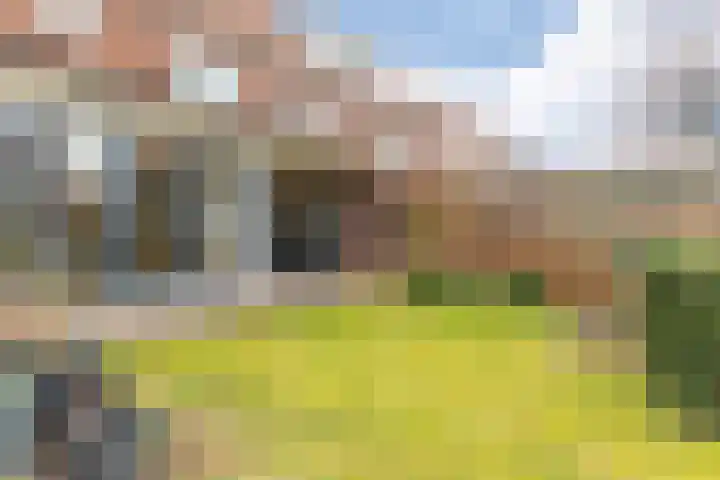 Dreef 12 Beverwijk thumbnail 53