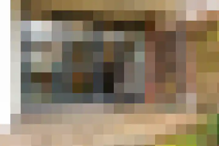 Dreef 12 Beverwijk thumbnail 54