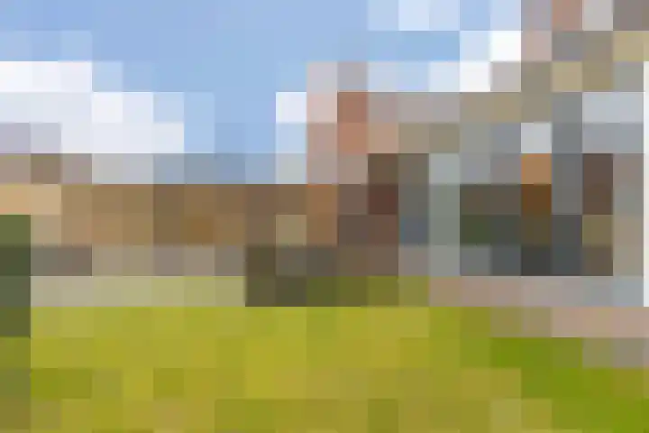 Dreef 12 Beverwijk thumbnail 55