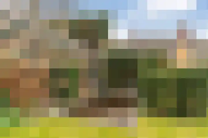 Dreef 12 Beverwijk thumbnail 56