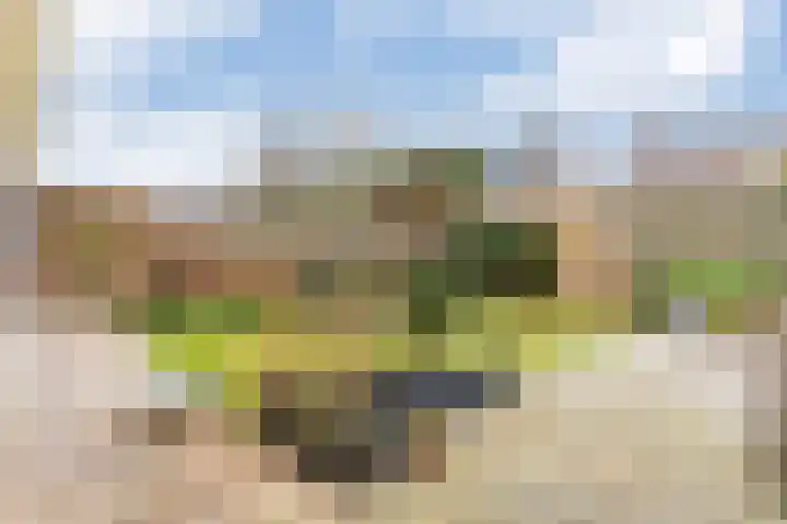 Dreef 12 Beverwijk thumbnail 57